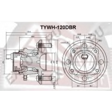 TYWH-120DBR ASVA Ступица колеса