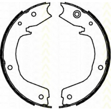 8100 42019 TRISCAN Комплект тормозных колодок, стояночная тормозная с