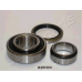 KK-22000 JAPANPARTS Комплект подшипника ступицы колеса