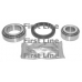 FBK572 FIRST LINE Комплект подшипника ступицы колеса