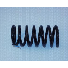 8750 1615 TRIDON Coil spring rear