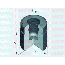 D025224 AUTOFREN SEINSA Поршень, корпус скобы тормоза