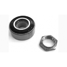 CR 2524 BREDA  LORETT Комплект подшипника ступицы колеса