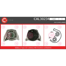 CAL30234GS CASCO Генератор