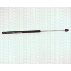 8710 24203 TRIDON Gas spring rear