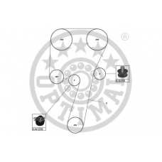 SK-1635 OPTIMAL Комплект ремня грм