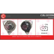 CAL10336<br />CASCO