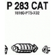 P283CAT