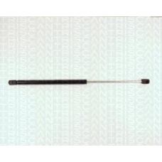 8710 15215 TRIDON Gas spring rear