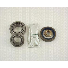 8530 10231 TRIDON Wheel bearing kit