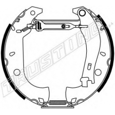 6153 TRUSTING Комплект тормозных колодок