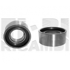 06464 CALIBER Натяжной ролик, ремень ГРМ