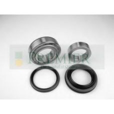 PWK0040 BRT Bearings Комплект подшипника ступицы колеса