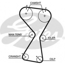 5534XS GATES Ремень ГРМ