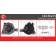 CAL40273<br />CASCO