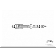 19018886 CORTECO Тормозной шланг