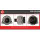 CAL10414<br />CASCO