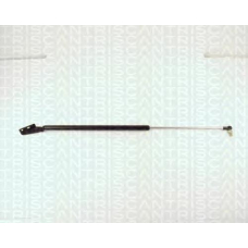 8710 13203 TRIDON Gas spring rear