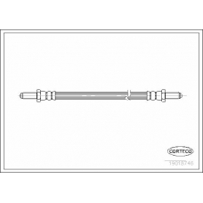 19018746 CORTECO Тормозной шланг