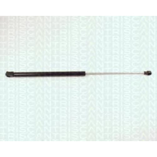 8710 29238 TRIDON Gas spring rear