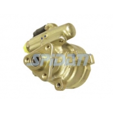 54175 SPIDAN Гидравлический насос, рулевое управление