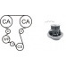 WPK-167602 AIRTEX Водяной насос + комплект зубчатого ремня
