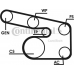 6PK1900D1 CONTITECH Поликлиновой ременный комплект