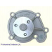 ADN19143 BLUE PRINT Водяной насос