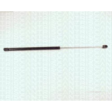 8710 16229 TRIDON Gas spring rear