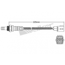 250-24927 WALKER Лямбда-зонд