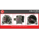 CAL15391<br />CASCO