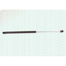 8710 2411 TRIDON Gas spring rear