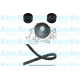 DKW-5503<br />KAVO PARTS