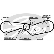 5009 GATES Ремень ГРМ