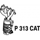 P313CAT