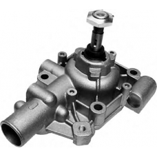 19.0196 PEX Водяной насос