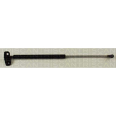 8710 21204 TRIDON Gas spring rear