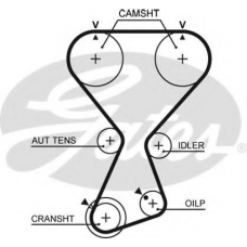 T313 GATES Ремень ГРМ