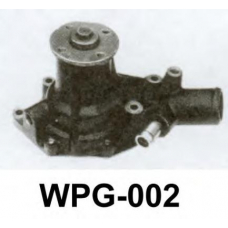 WPG-002 ASCO Водяной насос