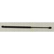 8710 24220 TRIDON Gas spring rear