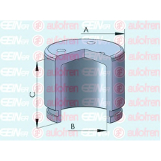 D025387 AUTOFREN SEINSA Поршень, корпус скобы тормоза