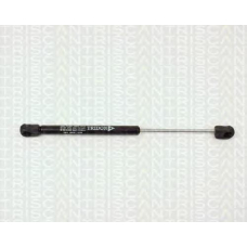 8710 1003 TRIDON Gas spring rear