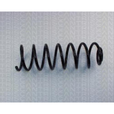 8750 2990 TRIDON Coil spring rear