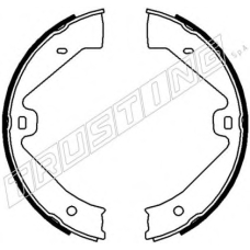 124.289 TRUSTING Комплект тормозных колодок, стояночная тормозная с