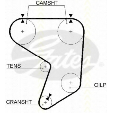 8645 5195xs TRISCAN Ремень ГРМ