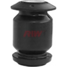 TO11022 RIW Подвеска, рычаг независимой подвески колеса