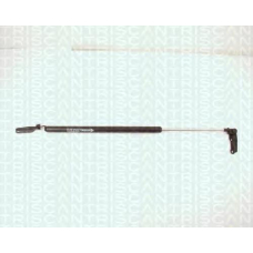 8710 13225 TRIDON Gas spring rear