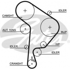 5559XS GATES Ремень ГРМ