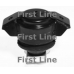 FEM3101 FIRST LINE Подвеска, двигатель