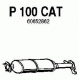 P100CAT